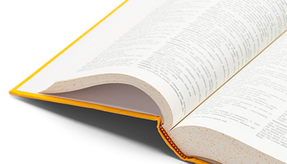 Glossary