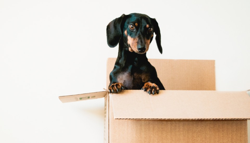 6. moving in